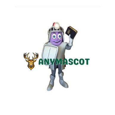 Church Knight Mascot Costume