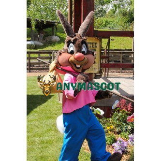Super Cute Rabbit Mascot Costume