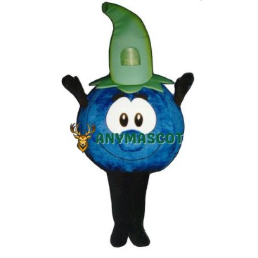 Cute Blueberry Mascot Costume