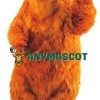 Super Cute Brown Bear Mascot Costume