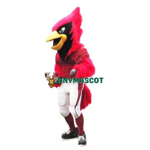 Sport Fierce Cardinal Bird Mascot Costume