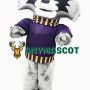 College Cute Raccoon Mascot Costume