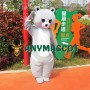 Affordable Friendly Bear Mascot Costume