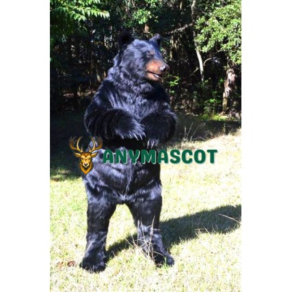 Realistic Wild Black Bear Mascot Costume