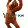 Superb Orangutan Mascot Costume