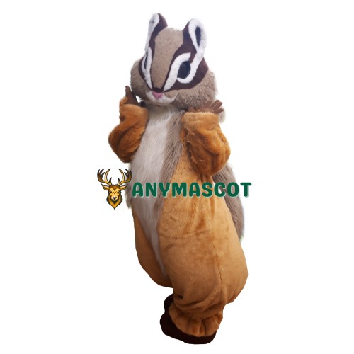 Superb Lovely Squirrel Mascot Costume