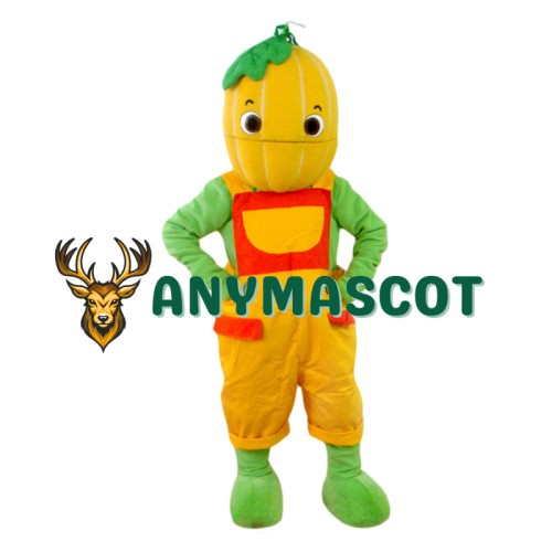 Superb Pumpkin Boy Mascot Costume