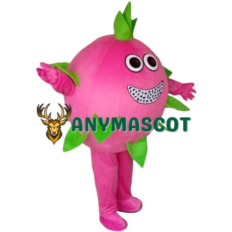 Pitaya Mascot Costume