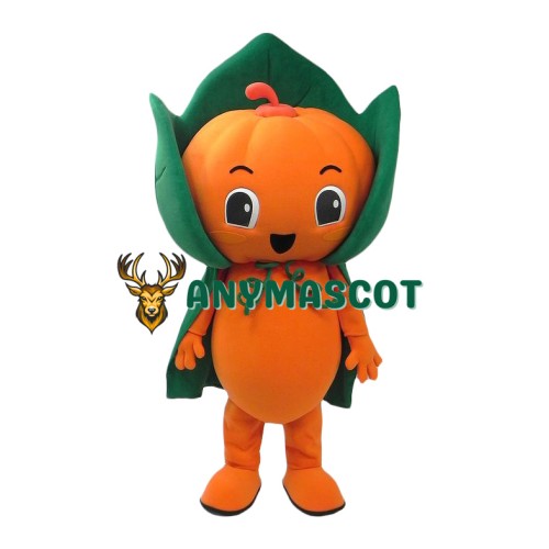 Friendly Pumpkin Boy Mascot Costume
