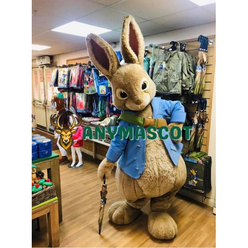 Friendly Lightweight Peter Rabbit Mascot Costume