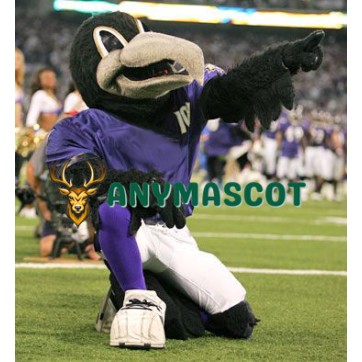 Sport Lightweight Raven Mascot Costume
