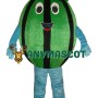 Affordable Watermelon Mascot Costume