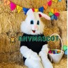 Young Easter Bunny Mascot Costume