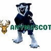 Superb Sport Owl Mascot Costume
