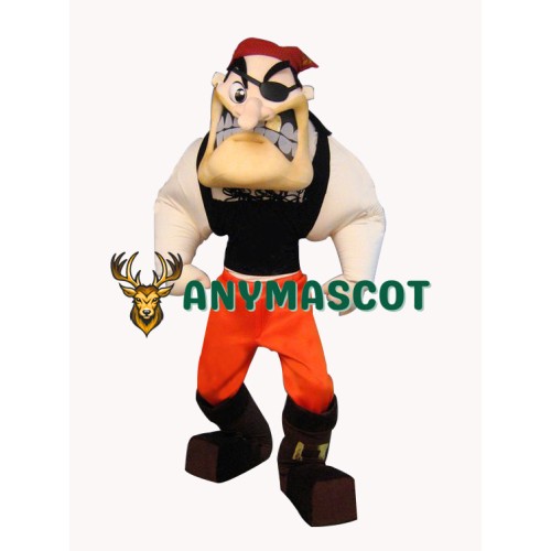 Superb Power Pirate Mascot Costume