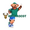 Young Sport Tiger Mascot Costume