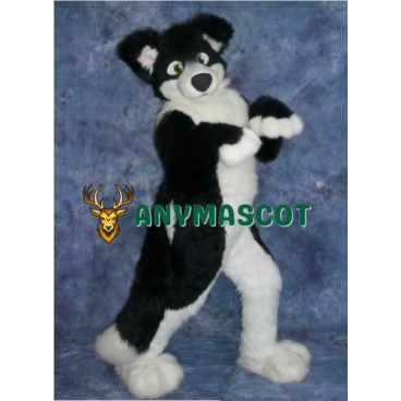 Black Border Collie Husky Dog Mascot Costume