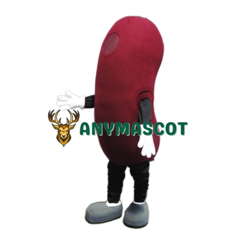 Kidney Mascot Costume