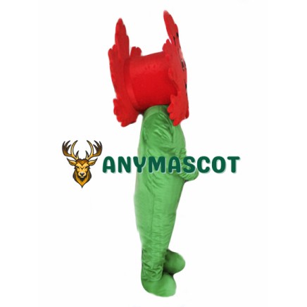 Maple Leaf Mascot Costume