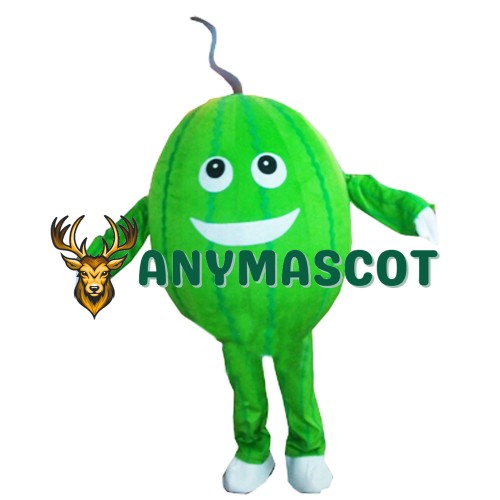 Watermelon Mascot Costume