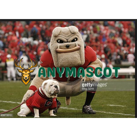 Georgia Bulldogs Mascot Costume