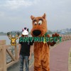 Scooby Doo Dog Mascot Costume Cartoon