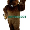 Woodchuck Mascot Costume