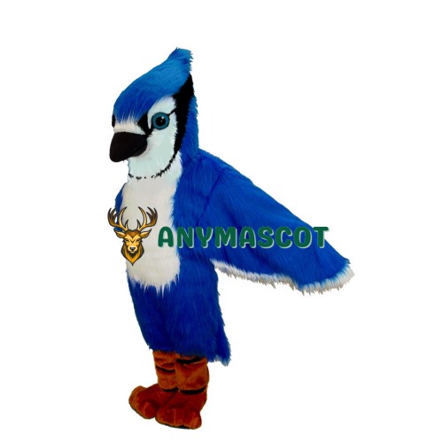 Blue Jay Bird Mascot