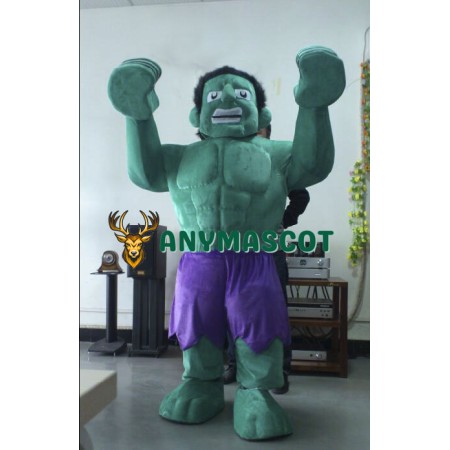 Hulk The Avengers Mascot Costumes