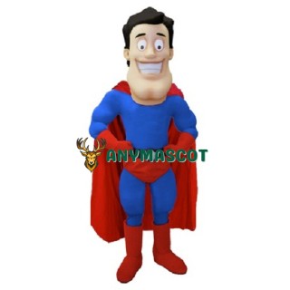 Super Hero Mascot Costume