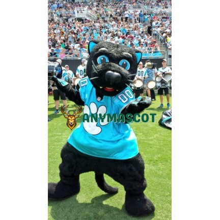 Professional Carolina cat Mascot Costumes