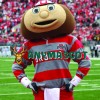 College University Brutus Buckeye Mascot Costume