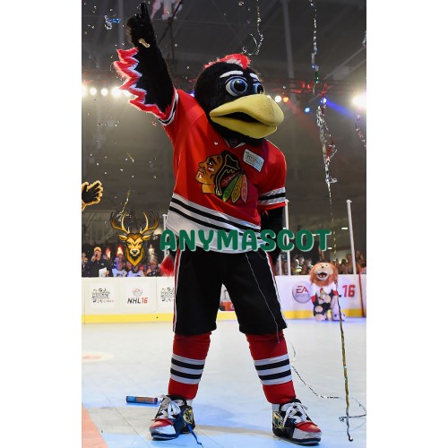 Chicago Blackhawks mascot Tommy Hawk