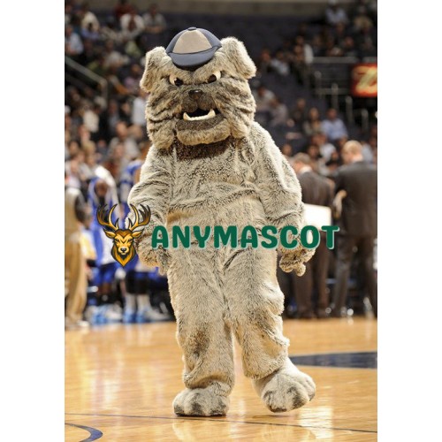 School Bulldog Mascot Costume