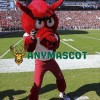 College Razorbacks Mascot Costume