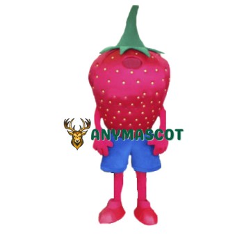 Strawberry Mascot Costume