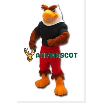 High School Eagle Mascot Costume
