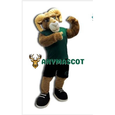 High School Ram Mascot Costume