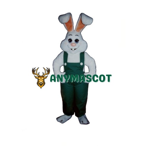 Bunny Boy Mascot Costume