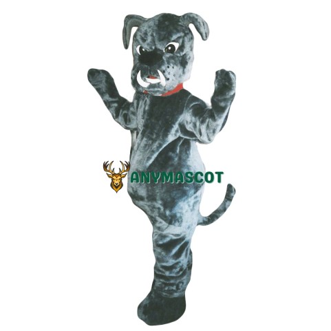Bull Dog Mascot Costume Adult Costume