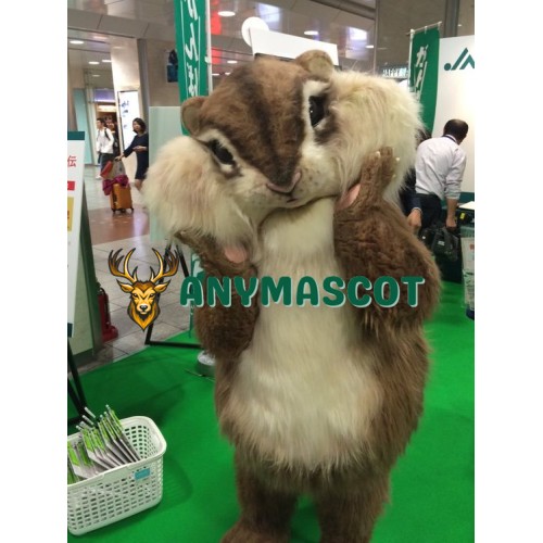 Best Quality Squirrel Mascot Costume