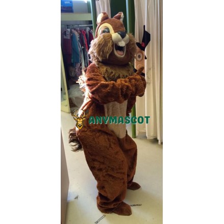 Animal Squirrel Mascot Costume