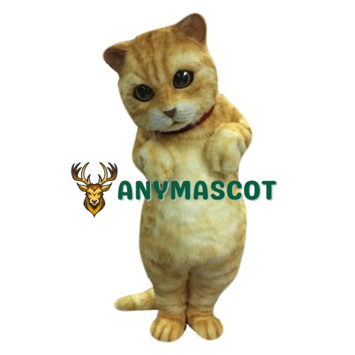 Cute Animal Cat Mascot Costume
