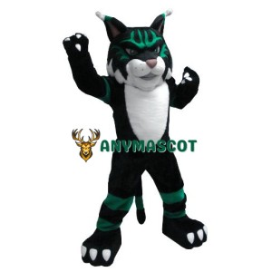Colorful Wildcat Mascot Costume