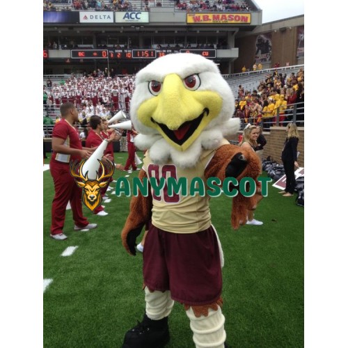 College Eagles Mascot Costume