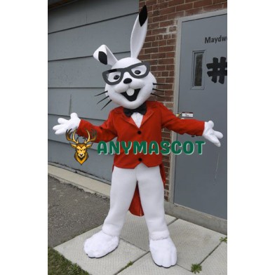 Rabbit Mascot Costume