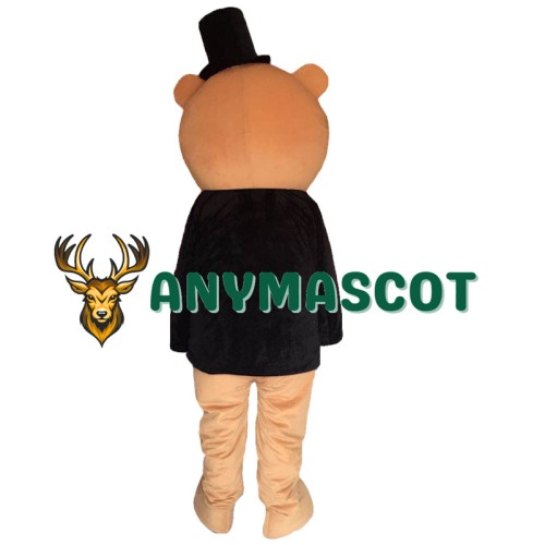 Cartoon Bear mascot costumes