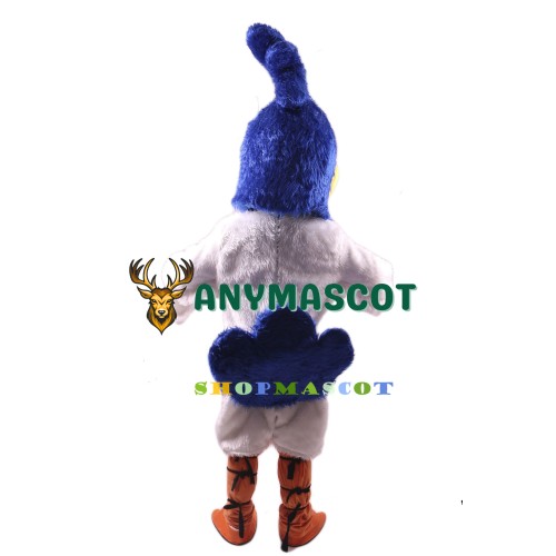 Roadrunner Mascot Costume