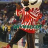 Wisconsin Badgers Mascot Costume