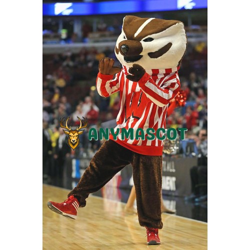 Wisconsin Badgers Mascot Costume